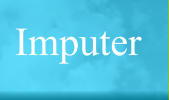 Imputer